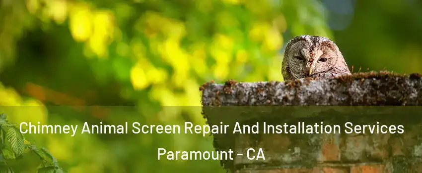  Chimney Animal Screen Repair And Installation Services Paramount - CA