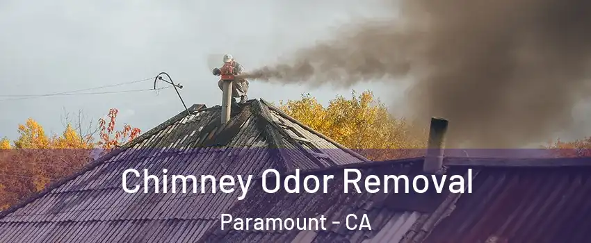  Chimney Odor Removal Paramount - CA