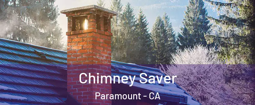  Chimney Saver Paramount - CA
