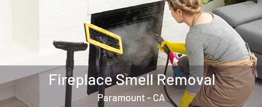  Fireplace Smell Removal Paramount - CA