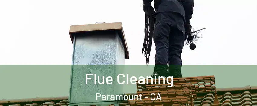  Flue Cleaning Paramount - CA