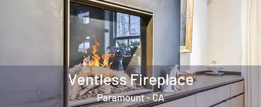  Ventless Fireplace Paramount - CA